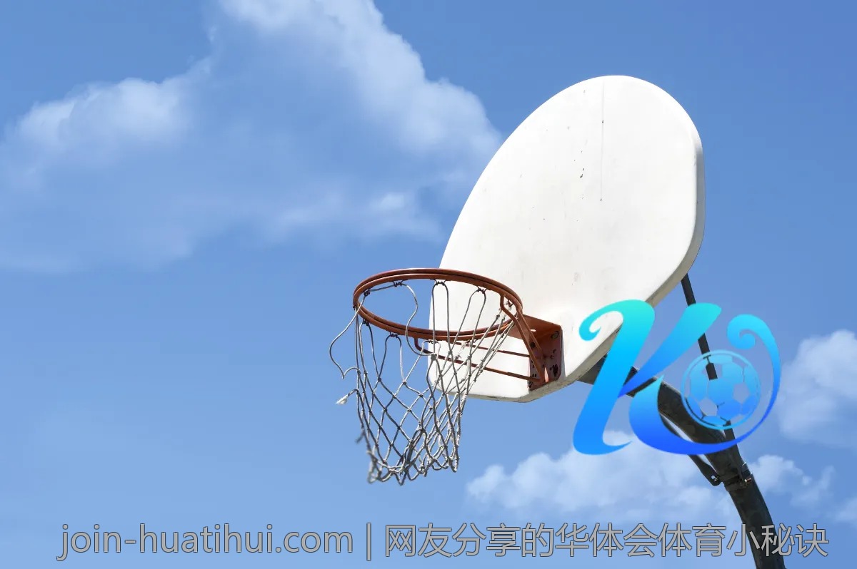 网友分享的华体会体育小秘诀